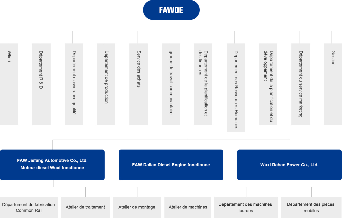 Organisation Organisation